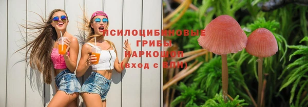 соль курить ск Костерёво