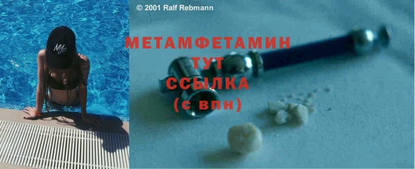 PSILOCYBIN Корсаков
