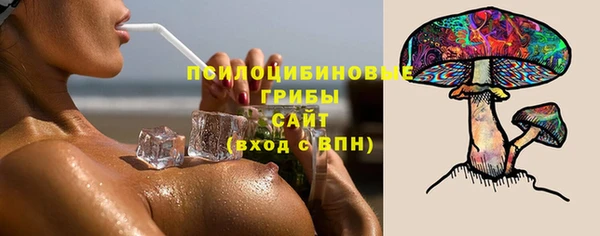 PSILOCYBIN Корсаков