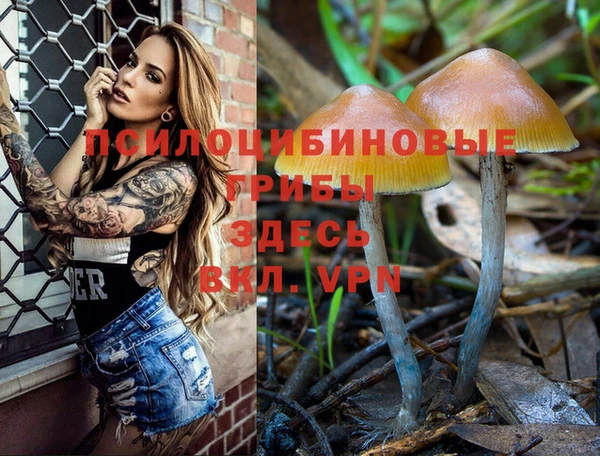PSILOCYBIN Корсаков