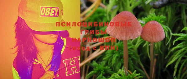 крисы Янаул